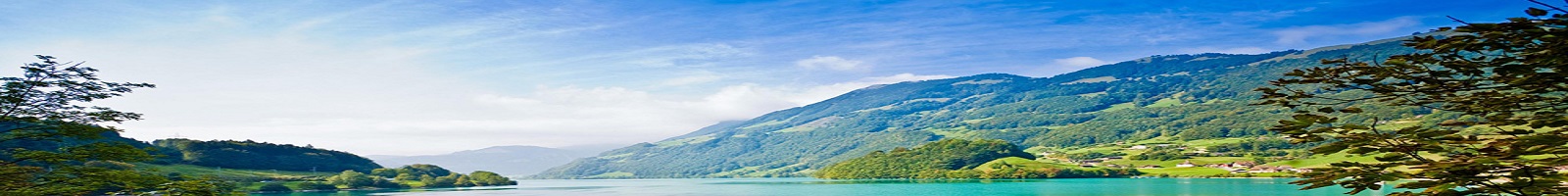 How many homes are for sale in Dallas right now?